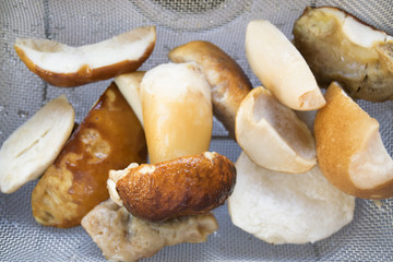 frozen porcini mushrooms