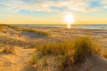 Fototapeta na wymiar Grass on sand dune at sunset time, Leba beach, Baltic Sea, Poland