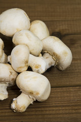 mushrooms on wood