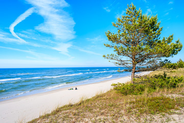 Fototapeta na wymiar Sand dune with green tree and view of sandy Bialogora beach, Baltic Sea, Poland