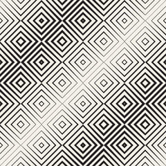 Trendy Monochrome Line Lattice. Vector Seamless Black and White Pattern.