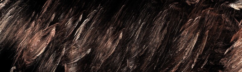 Hintergrund - Panorama 