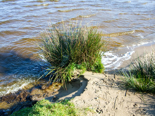 Oceanside Netherlands