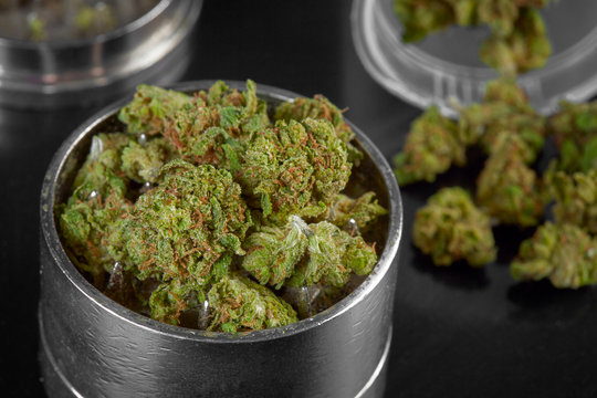 Close up of marijuana buds