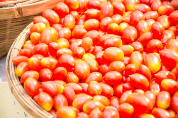  red tomatoes background. Group of tomatoes