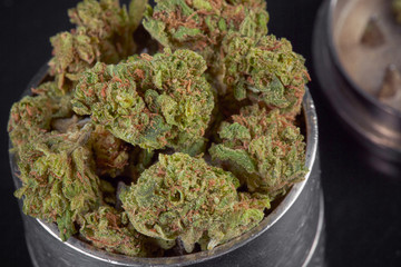 Close up of marijuana buds