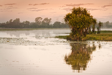 Yellow Water billabong at dawn, Northern Territories, Australia © Andrew Deer