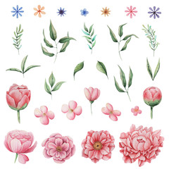 Hand painted watercolor charming combination of Flowers and Leaves