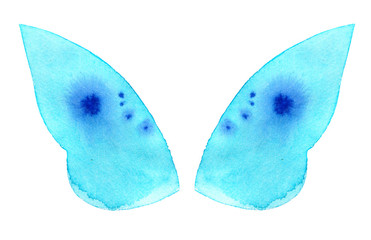 Watercolor butterfly wings isolated on white