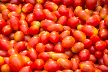  red tomatoes background. Group of tomatoes