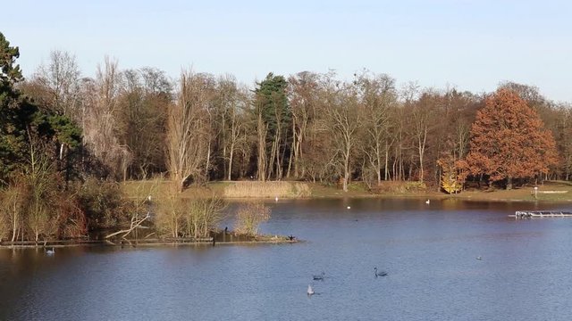 K&ouml;lner Stadtwald, Kalscheurer Weiher, Deutschland, Herbst; Cologne city forest, pond, germany, autumn 