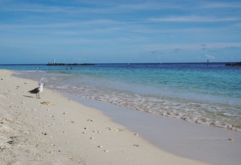 Fototapeta na wymiar Strand von Key West in Florida