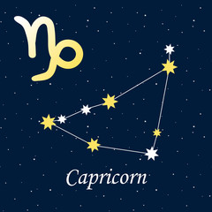 Fototapeta na wymiar constellation capricorn zodiac horoscope astrology stars night i