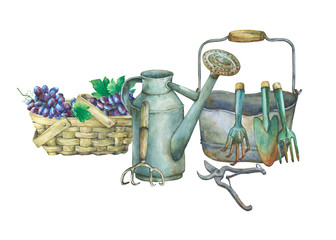 Illustration of gardening tools. Hand drawn watercolor painting on white background. © arxichtu4ki