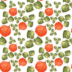 Orange flowers physalis and green leaves on white background. Seamless watercolor pattern