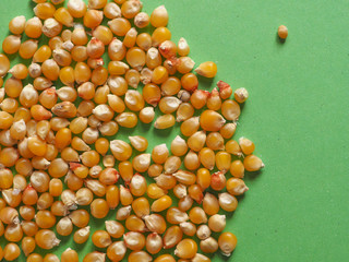 pop corn maize with copy space