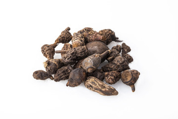 Gowe - Thiouraye (Cyperus articulatus) - african (Senegal) incense 
