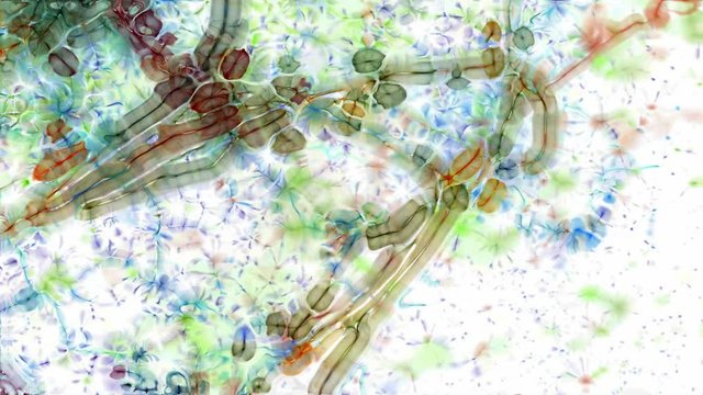 Abstract 1002: Abstract microscopic forms pulse and flow (Loop).