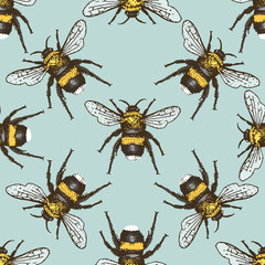 insect beetle seamless pattern, background with engraved animal hand drawn style