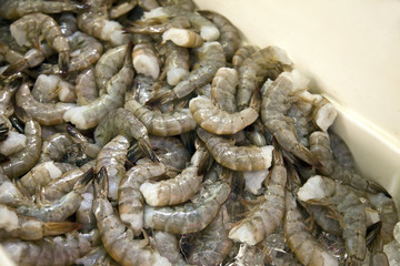 Marketplace bin filled with fresh shrimp.