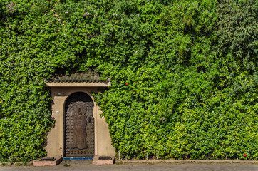 Fototapeta na wymiar green wall and door in a street of marrakech