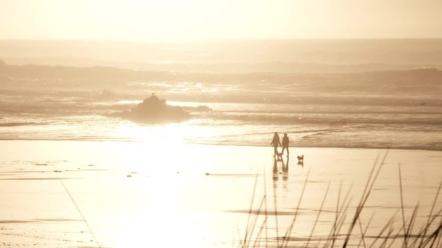 A couple walk along Oregon coastline at sunset with their two little dogs.