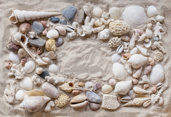  shells