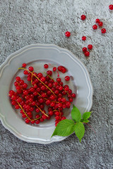 Berries red currants on a plate. View from above.