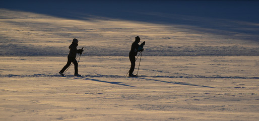 People and back country skying