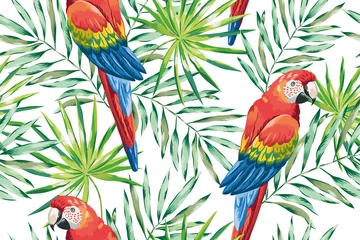 Papier Peint photo Perroquet Perroquets ara avec des feuilles de palmier vertes sur fond blanc. Modèle sans couture de vecteur. Illustration tropicale avec des oiseaux et des plantes.