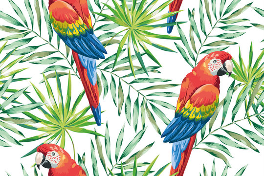 Macaw parrots with green palm leaves on the white background. Vector seamless pattern. Tropical illustration with birds and plants.
