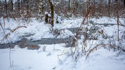 Maltakva park in winter time, Poti, Georgia