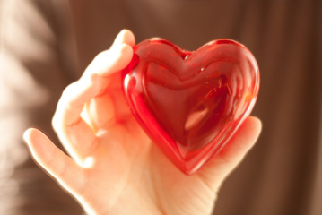 Fototapeta premium red heart in hand