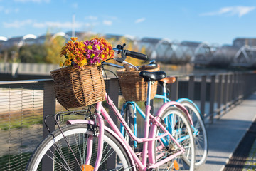 Fototapeta na wymiar Pink and blue vintage bicycles with baskets flowers by the river