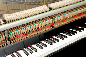 Close-up piano, white and black keyboard