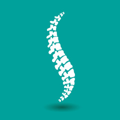 Vector  human spine isolated silhouette illustration. Spine pain medical center, clinic, institute, rehabilitation, diagnostic, surgery logo element. Spinal icon symbol design. Concept of scoliosis