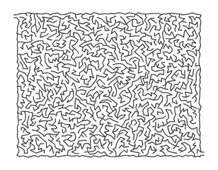 Obraz premium Difficult Vector Black and White Maze for Children