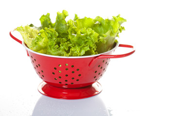 Fresh leaves of green salad over the white background