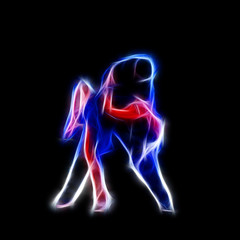 Dancing couple glowing silhouette isolated