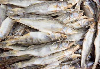 A lot of dried pike perch. Background of dried fish