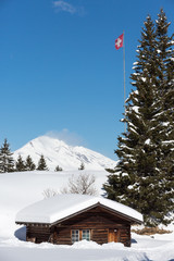 Schweizer Hütte mit Tannen