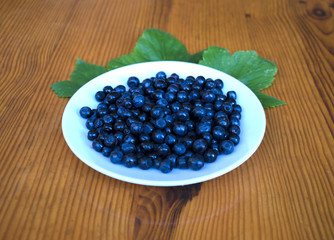 delicious berries - blueberries