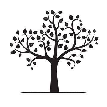 Vector Illustration of Tree.