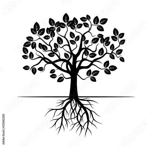 "Black vector tree" Stock image and royalty-free vector files on
