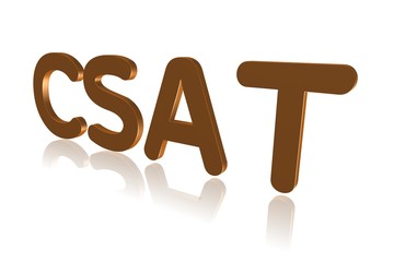 Programming Term - CSAT -  Circuit Satisfiability Problem - 3D image