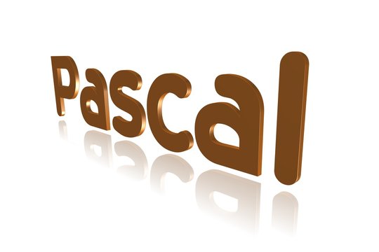 Programming Term - Pascal - High-level  Programming Language -  3D image

