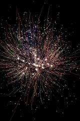 Obraz premium Firework 2