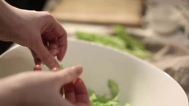 hands tearing green letucce leaves