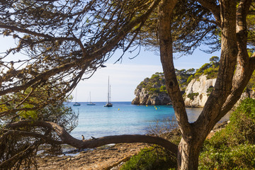 Macarella beach seen among the trees on a sunny morning, Minorca
