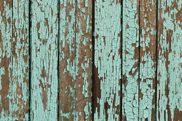 Texture of  wooden panel for background